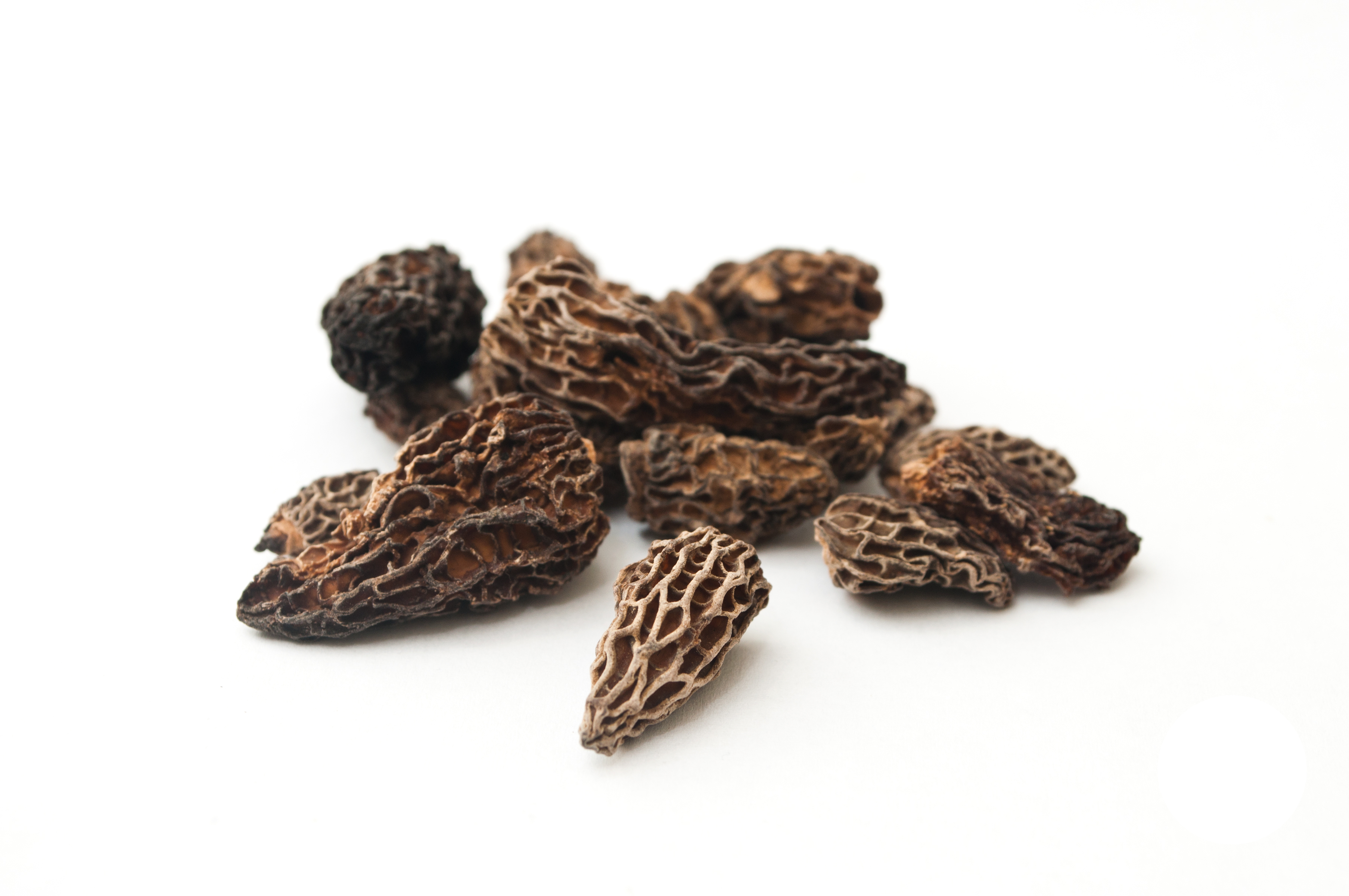 Dried Wild Morel Mushrooms / 2oz